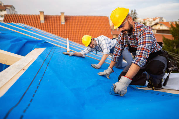 Steel Roofing in Hoxie, AR